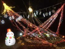 金剛バル☆WinterLand