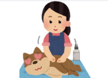 犬のオーダーメイドケア　Wanola