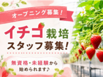 ソーシャルファームカナン